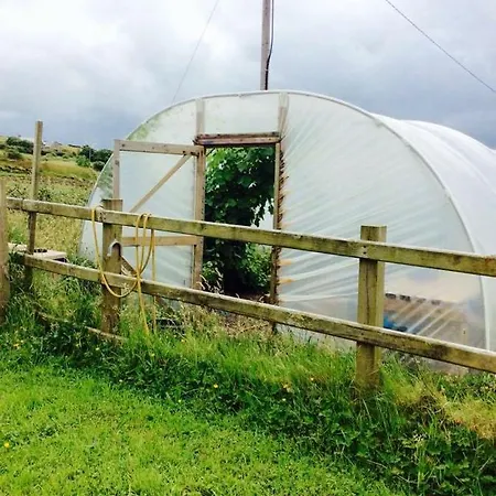 Holland House F94dp26 Nocleg ze śniadaniem Ballyshannon