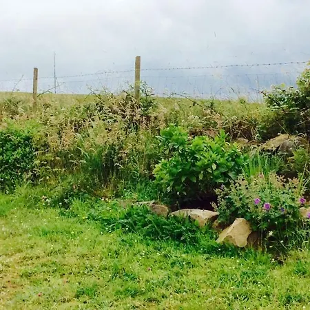 Holland House F94dp26 3*