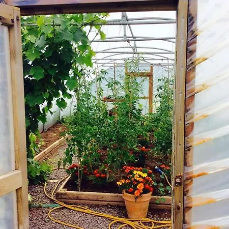 Holland House F94dp26 Nocleg ze śniadaniem Ballyshannon