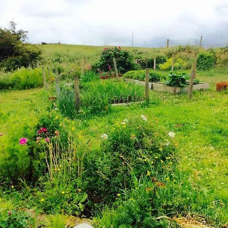 Holland House F94dp26 3*