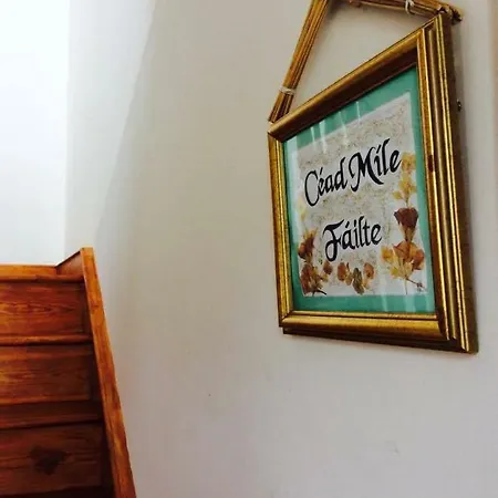 Holland House F94dp26 Nocleg ze śniadaniem Ballyshannon