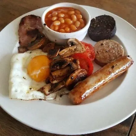 Holland House F94dp26 3*