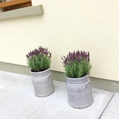 Nocleg ze śniadaniem Holland House F94dp26 Ballyshannon