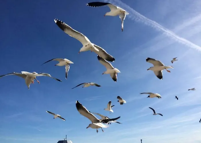 Holland House F94dp26 Bed & Breakfast